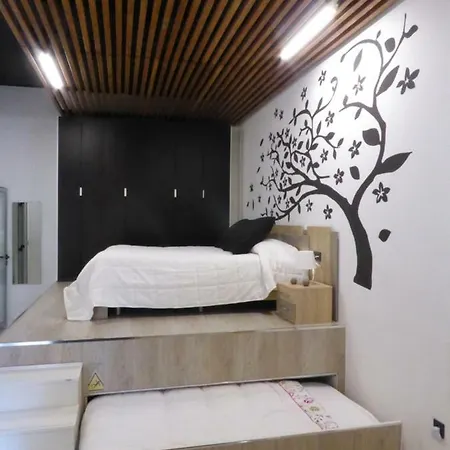 Oasis 6 *
