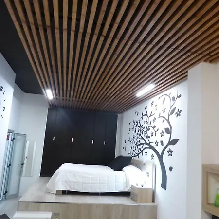 Oasis 6 *