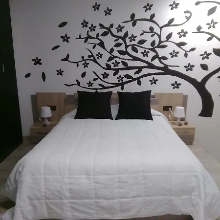 Oasis 6 *